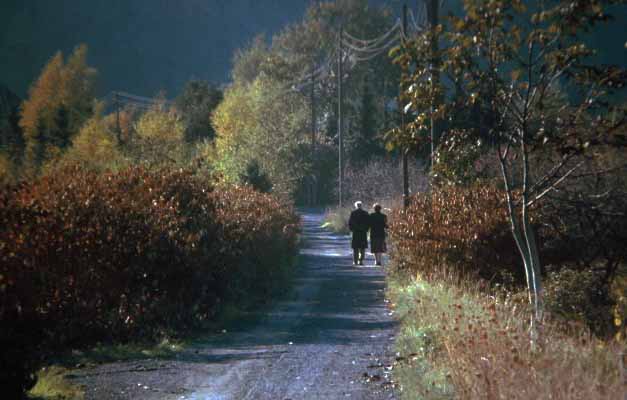 autumn stroll